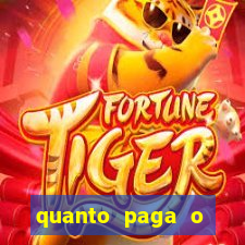 quanto paga o jungle fight